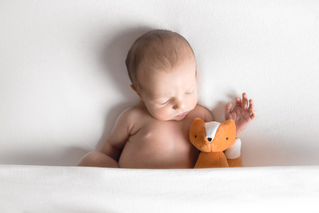 A caucasian newborn baby laying on a blanket with a stuffed fox. The baby is covered slightly with a blanket like they are tucked into bed. The photograph was taken at a photography studio near Johnson City, Tennesseee.